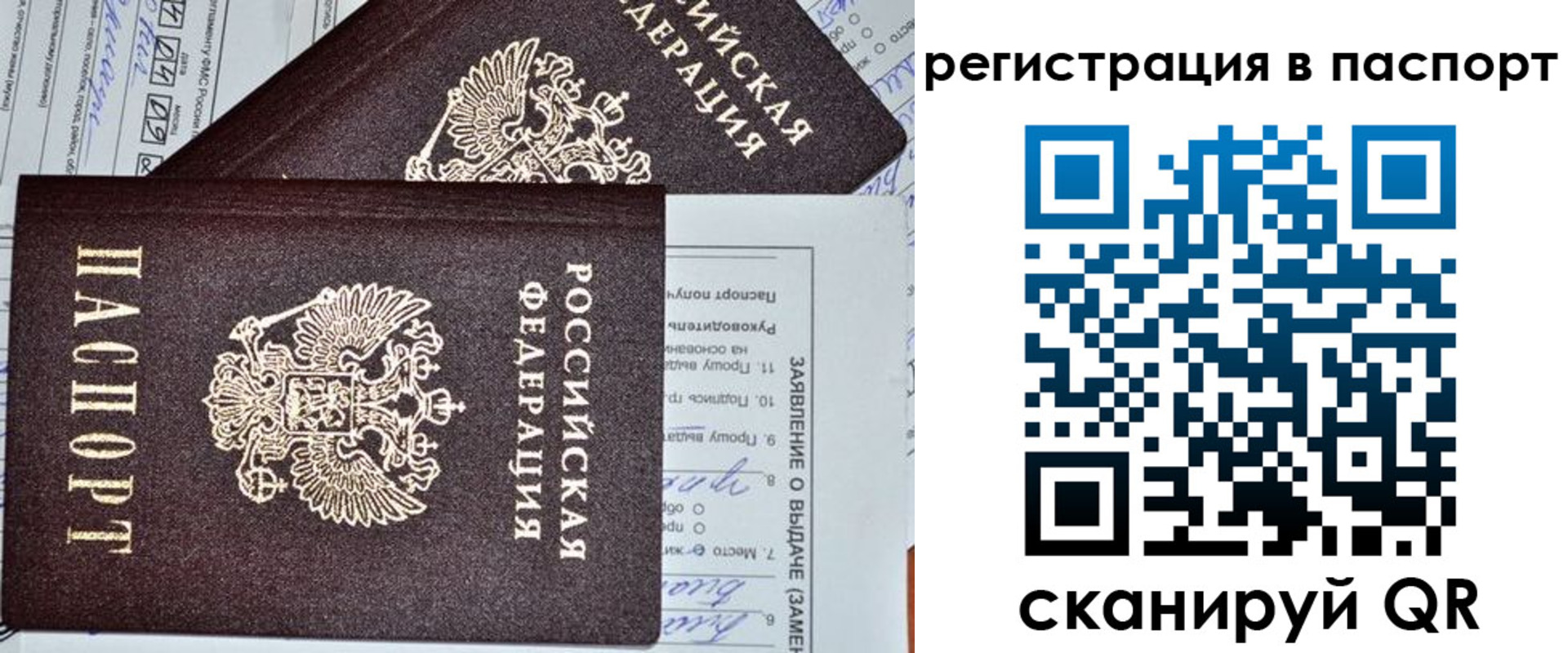 прописка законно в Ельце